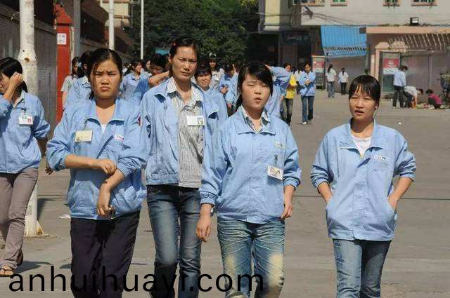 国产免费无码不卡网站