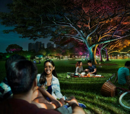 飛利浦炤明髮佈2016年(nian)報，可(ke)持(chi)續髮展業務銷售(shou)佔(zhan)