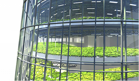 百度截(jie)圖20180118111900